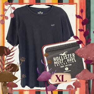Hollister Must-Have Collection Black Tee XL | Classic Cotton Minimalist T-Shirt
